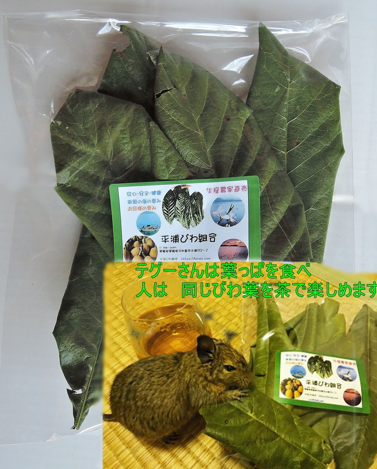 乾燥葉っぱ ◎セミオーダーページ◎ ウサギ ハムスター リクガメ