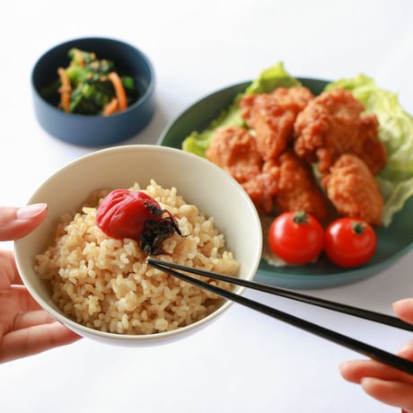 白九谷 / 飯碗S