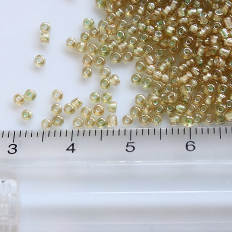 シードビーズ3ｇ (fish roe)  Ø2㎜　　フランスヴィンテージ　716