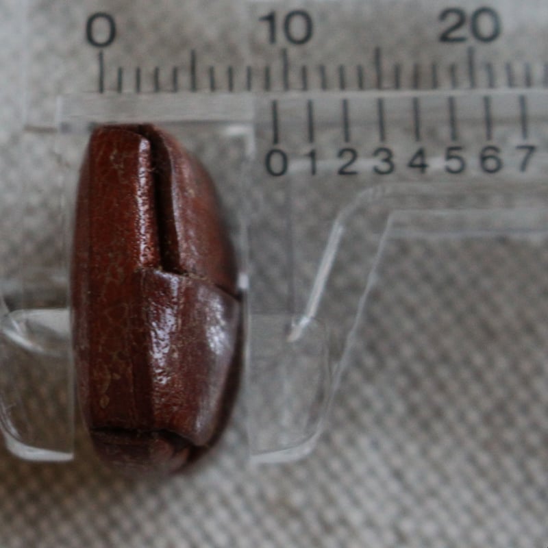 専用 70s USA製 ダブルブレストコート レザー くるみボタン SERVAL フランスの古いレザー四角くるみボタン 19㎜ 217 | Le manège