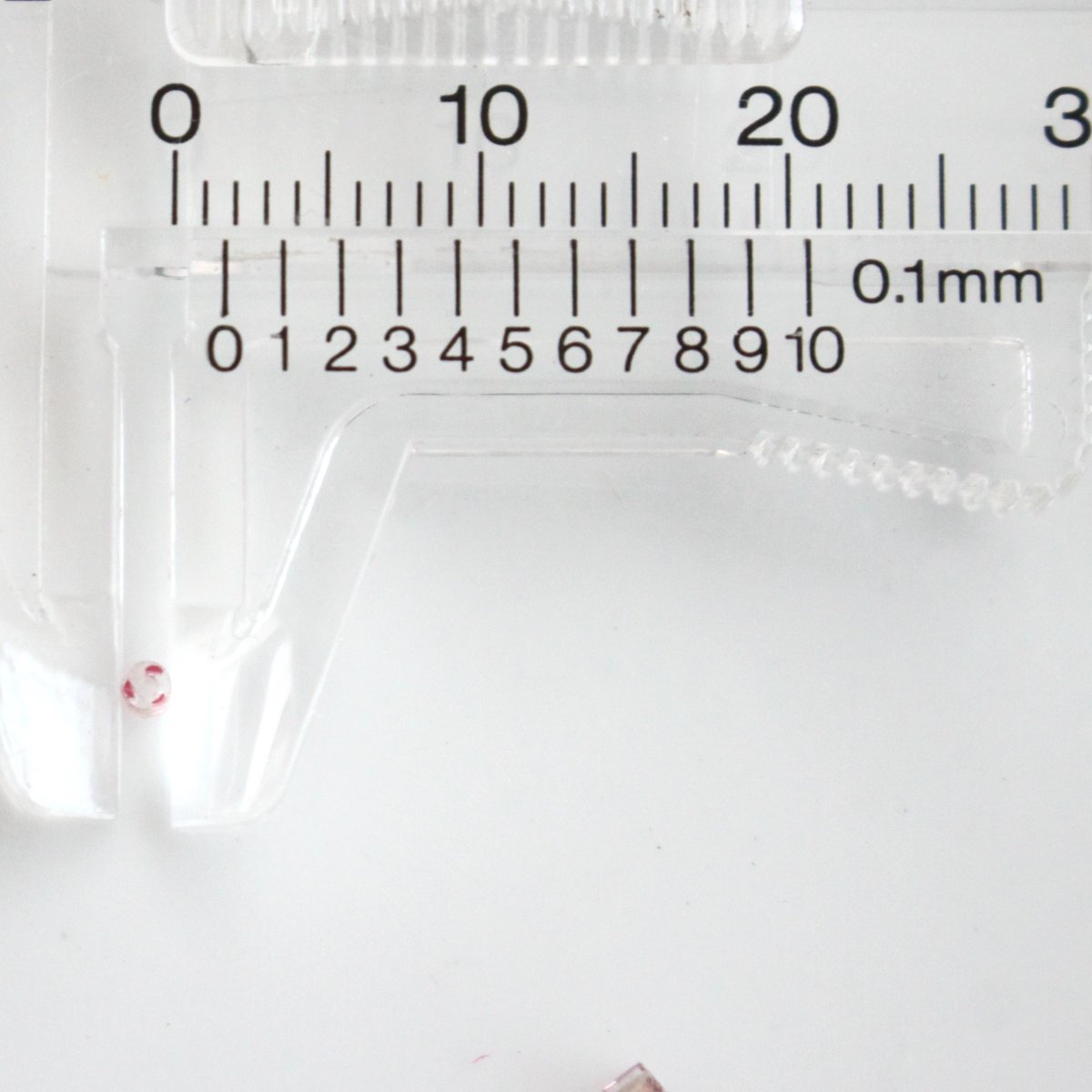 アンティークビーズ　スカンク20個（1800〜1900年代） アンティークビーズ スカンク20個（1800〜1900年代）