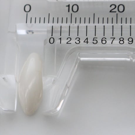 .【希少】ナツメ型スパンコール14㎜  10個　white（ゼラチン）1920年代フランス製　798