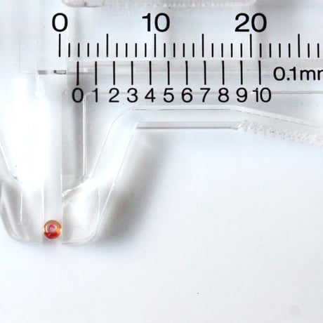 シードビーズ3ｇ (salmon roe)  Ø2㎜　　フランスヴィンテージ　2652
