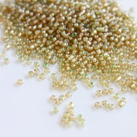 シードビーズ3ｇ (fish roe)  Ø2㎜　　フランスヴィンテージ　716