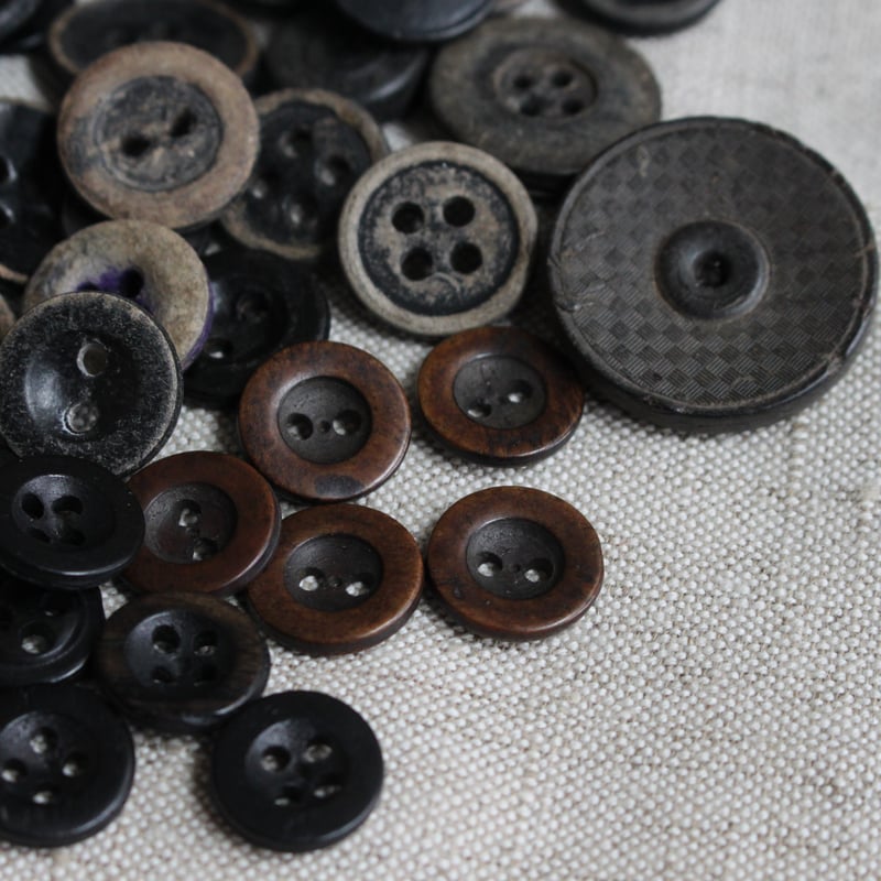 フランスの古い柿の木ボタン15㎜ フランスアンティークボタン | Le manège