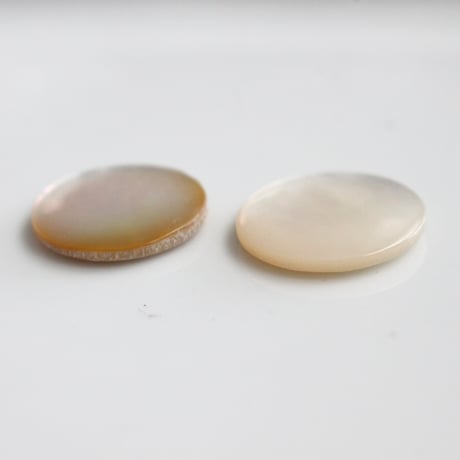 シェルのフラットカボション17㎜　2個set　フランス現行　482