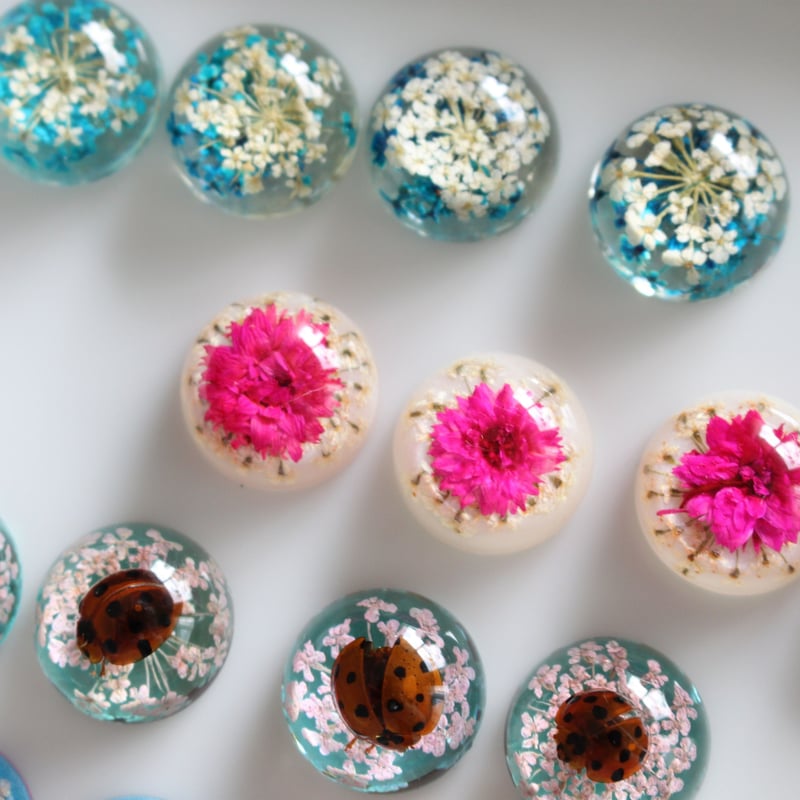 ▲パピヨンドリーム▲夢のような魔法の絵本!▲蝶が舞い花が色付く▲マジック▲手品▲ △パピヨンドリーム△夢のような魔法の絵本!△蝶が舞い花