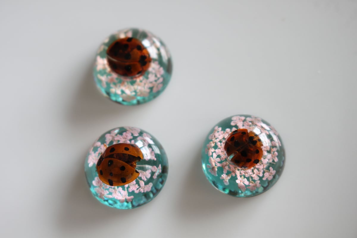 ▲パピヨンドリーム▲夢のような魔法の絵本!▲蝶が舞い花が色付く▲マジック▲手品▲ 夏の虫 夏の花 (福音館の科学シリーズ) | 奥本 大三郎, きよし