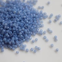 .KS-19 フランス製ヴィンテージシードビーズ