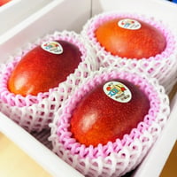 マンゴーセット プレミアム（4~6玉） | swallowfarm Mango