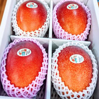 マンゴーセット プレミアム（4~6玉） | swallowfarm Mango