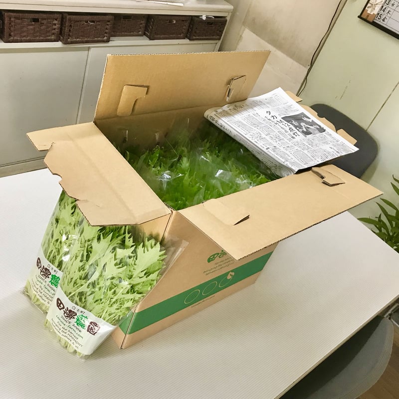 定期便】お得な採りごろ葉菜セット5種類以上（30パックを毎月2回お