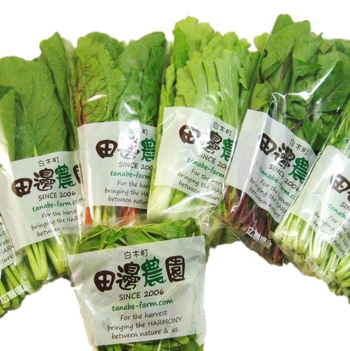 定期便】採りごろ葉菜セット５種類以上（30パックを毎月２回お届け)　たなべのやさい