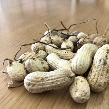落花生クッキー