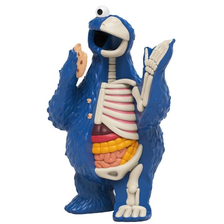 XXRAY Plus  Sesame Street Anatomical Cookie Monster by Jason Freeny