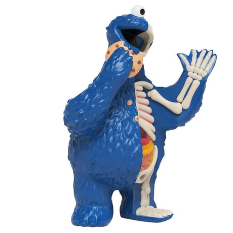 XXRAY Plus  Sesame Street Anatomical Cookie Monster by Jason Freeny