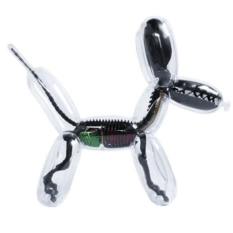 Metallic Black Balloon Dog Anatomy by Jason Freeny