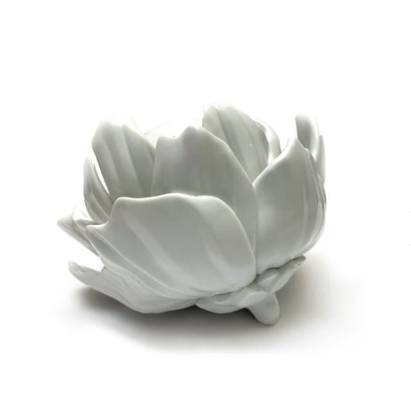 Moonflower by Yoskay Yamamoto