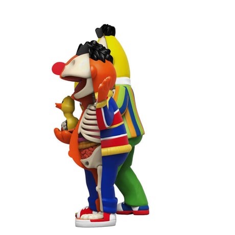XXRAY Plus Sesame Street Anatomical Bert & Ernie by Jason Freeny