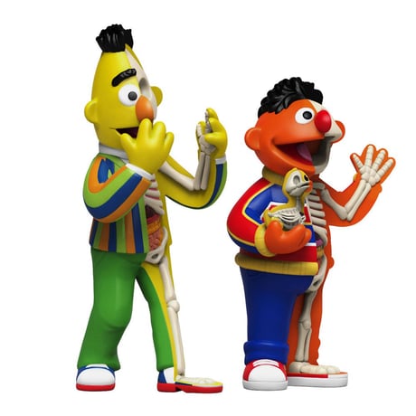XXRAY Plus Sesame Street Anatomical Bert & Ernie by Jason Freeny
