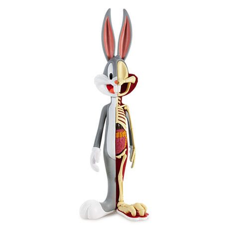 アメコミ Anatomical Bugs Bunny By Jason Freeny Anatomical Wabbit Bugs Bunny By Jason Freeny x Kidrobot x