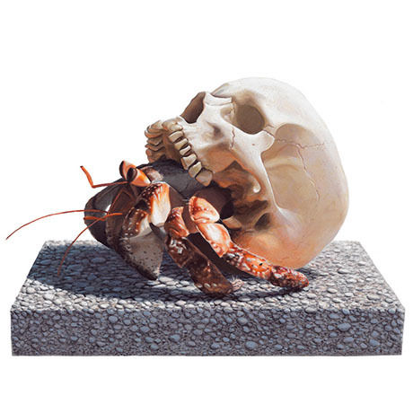 Migratory Soul by Josh Keyes