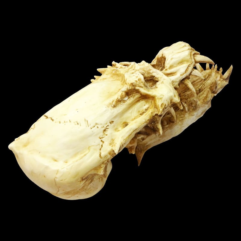 SF・ファンタジー・ホラー CRAZY SKULL SILENT HILL f #5】日本を舞台とした「サイコロジカルホラー