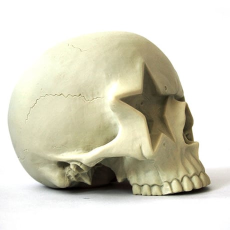 Star Skull by Ron English