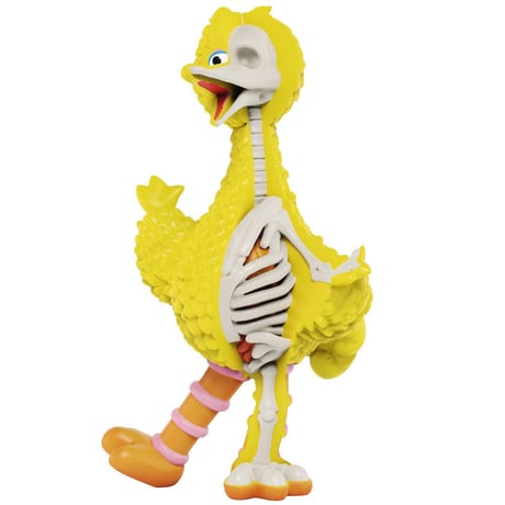 Sesame Street - Anatomical Big Bird by Jason Freeny