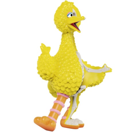Sesame Street - Anatomical Big Bird by Jason Freeny