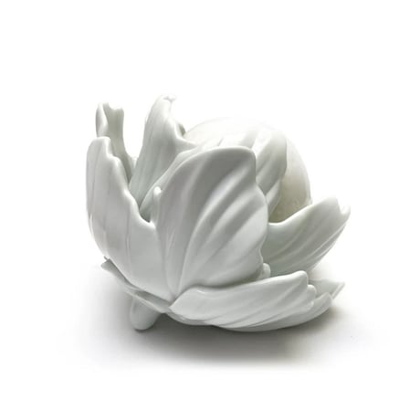 Moonflower by Yoskay Yamamoto