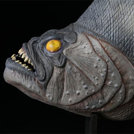 Piranha Prop Replica Model (Latex version) with walnut display stand