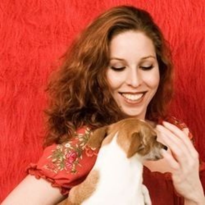 Purple Oliver The Bat Boy by Kathie Olivas | to