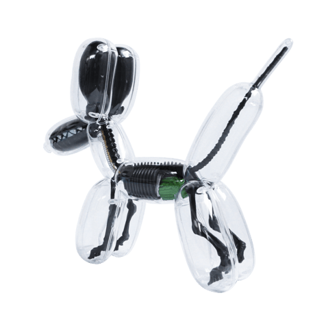 Metallic Black Balloon Dog Anatomy by Jason Freeny