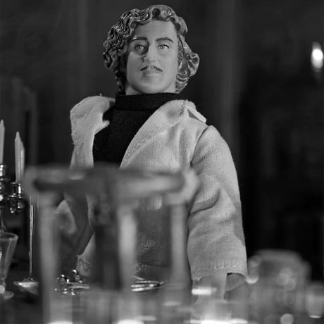 Young Frankenstein / Dr. Frankenstein Mego 8-Inch Figure