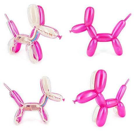 Metallic Balloon Dog Funny Anatomy by Jason Freeny