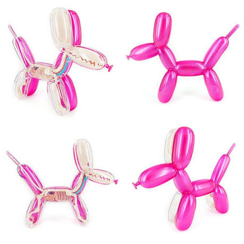 4DMASTER Balloon Dog Anatomy バルーンドッグ バルーンドッグ