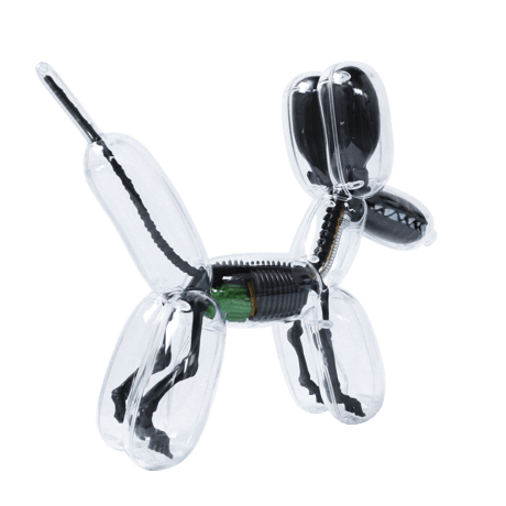 Metallic Black Balloon Dog Anatomy by Jason Freeny
