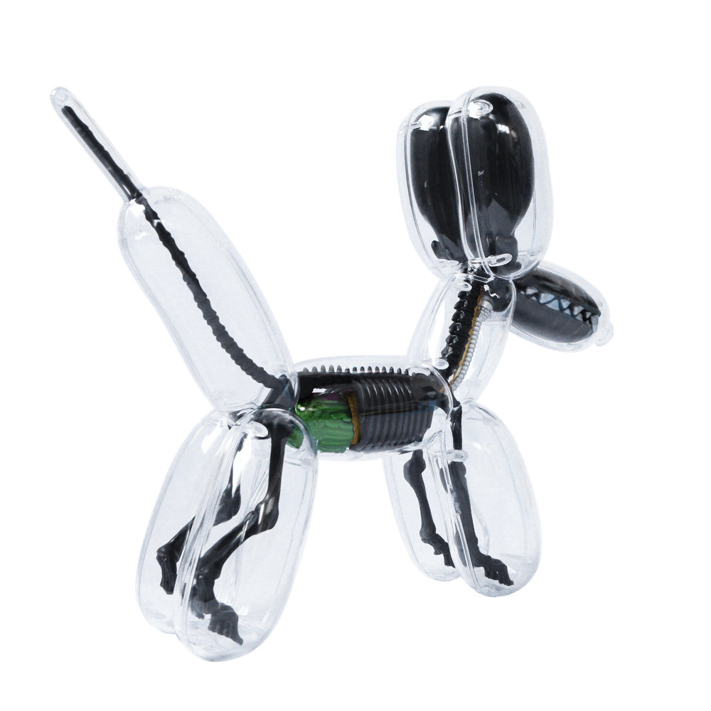 Metallic Black Balloon Dog Anatomy by Jason Fre