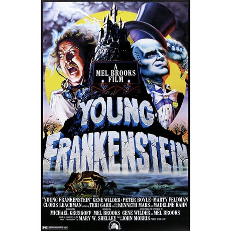 Young Frankenstein / Dr. Frankenstein Mego 8-Inch Figure