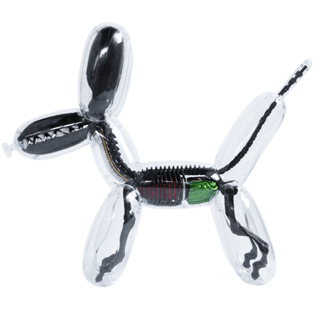 Metallic Black Balloon Dog Anatomy by Jason Freeny