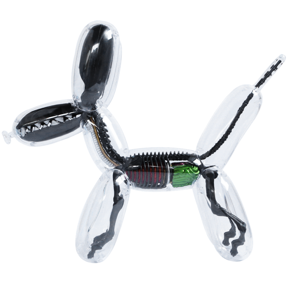 Metallic Black Balloon Dog Anatomy by Jason Fre