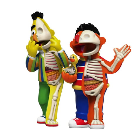 XXRAY Plus Sesame Street Anatomical Bert & Ernie by Jason Freeny