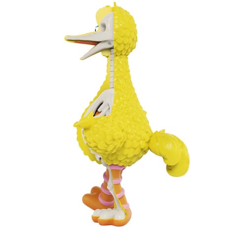 Sesame Street - Anatomical Big Bird by Jason Freeny