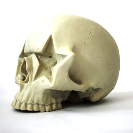 Star Skull by Ron English