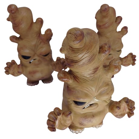 Just-harvested Stinky Ginger by Hisashi Futamura x Chris Ryniak