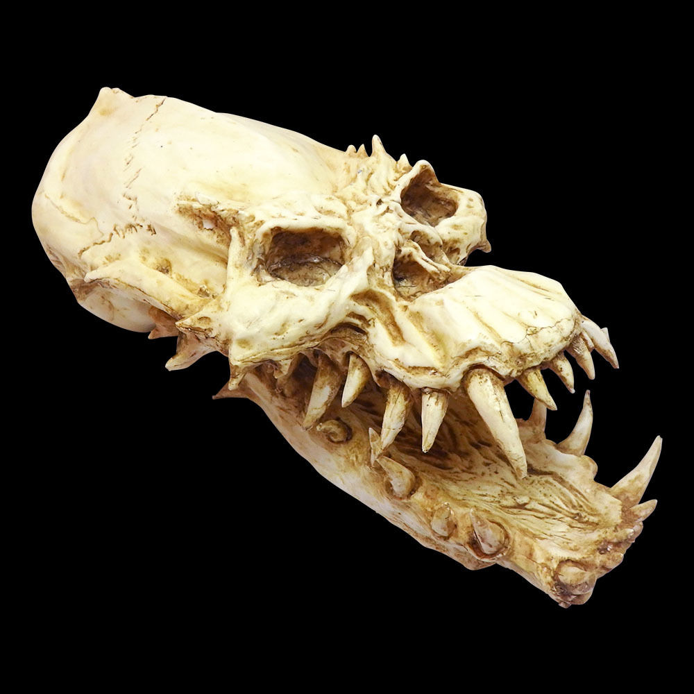 Vampire Skull from Vampire Skull from