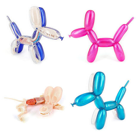 Metallic Balloon Dog Funny Anatomy by Jason Freeny