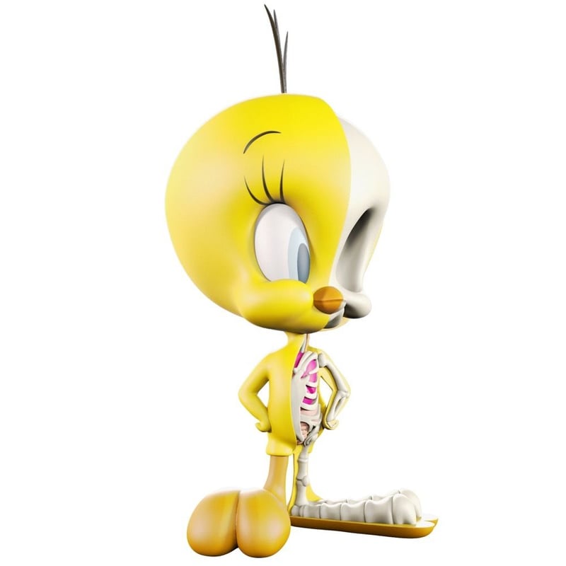 Anatomical Tweety Bird by Jason Freeny | tomeno