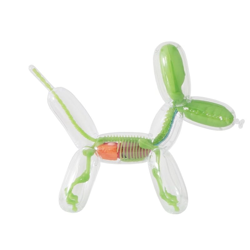 Balloon Dog Anatomy GID Edition by Jason Freeny